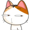 Meow for Mishell 12