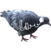 Dove with hands 8