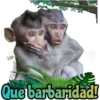 my monkey 12