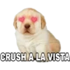CRUSH A LA VISTA