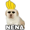 NENA