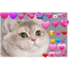 Cats with hearts 6
