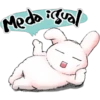 Rabbit 11