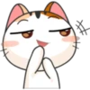 Meow for Mishell 14
