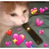 Cats with hearts 7