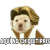 AQUÍ NO CHIQUITIRRIS