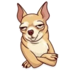 Meme Dogs 1 11