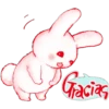 Rabbit 12