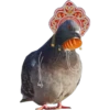 Dove with hands 9