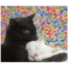 Cats with hearts 10