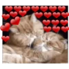 Cats with hearts 11