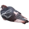 Dove with hands 10