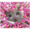 Cats with hearts 12