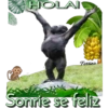 my monkey 17
