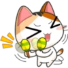 Meow for Mishell 17