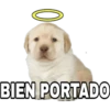 0
BIEN PORTADO