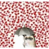 Cats with hearts 16