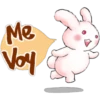 Rabbit 18