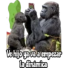 my monkey 20