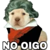 NO OIGO