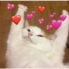 Cats with hearts 20