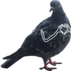 Dove with hands 14