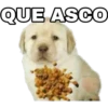 QUE ASCO