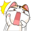 Meow for Mishell 22