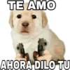 TE AMO
AHORA DILO TU