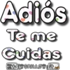 Pal Grupo 19