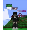 Minecraft 17