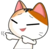 Meow for Mishell 23