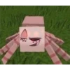 Minecraft 18