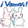 Rabbit 21