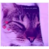 1O t cati