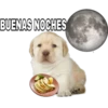BUENAS NOCHES