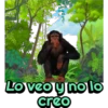 my monkey 22
