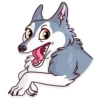Meme Dogs 1 20