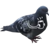 Dove with hands 17