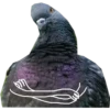 Dove with hands 18