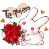 Rabbit 23