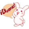 Rabbit 24