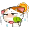Meow for Mishell 25