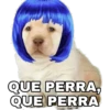 QUE PERRA,
QUE PERRA