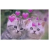Cats with hearts 26