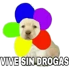 VIVE SIN DROGAS
