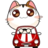 Meow for Mishell 27