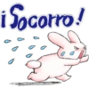 Rabbit 26