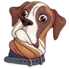 Meme Dogs 1 21