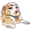 Meme Dogs 1 22